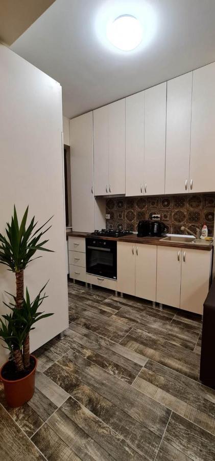 Designed Like Home Apartment Near Palas Mall Iasi Esterno foto